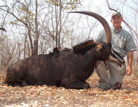 wta_1400_C2Q0H5_sable