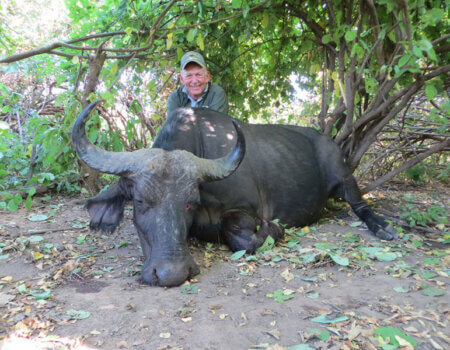 wta_1400_DVF8CY_buffcow