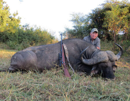 wta_1400_TOC7QQ_buffbull2