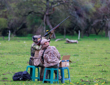 wta_1401_Dove Hunter