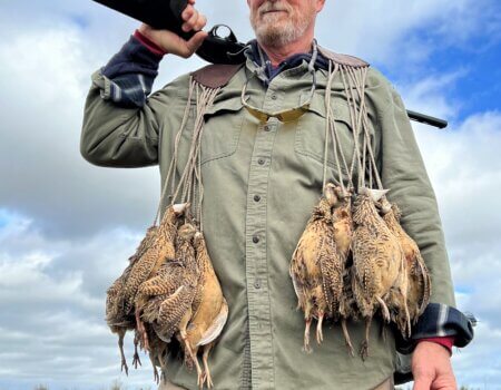 wta_1401_Perdiz hunter