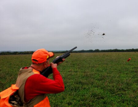 wta_1401_Perdiz shot