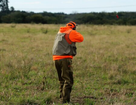 wta_1401_Perdiz shot