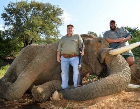 wta_1403_XWF8WU_TuckerElephant201650lbsresize