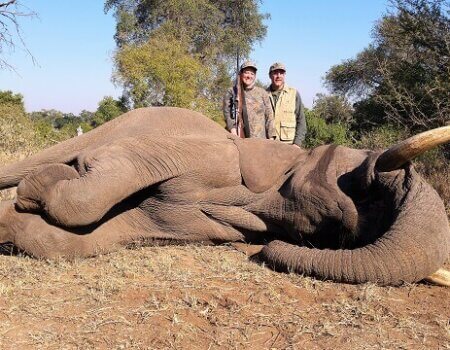 wta_1403__featured_CWYWLG_LeahWareElephantresize