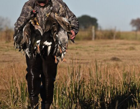 wta_1405_Maxi ducks