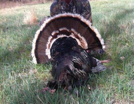 wta_1409_J6UQVD_trueky