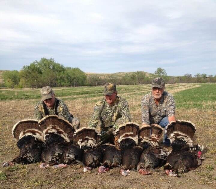 South Dakota Merriam s Turkey Hunting South Dakota Merriam s Turkey Hunting