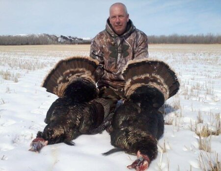 wta_1409__featured_PCDSI1_tky