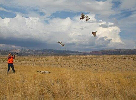 wta_1410_3W73DE_A06G6217