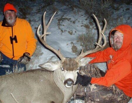 wta_1414_T55IQ9_photo1