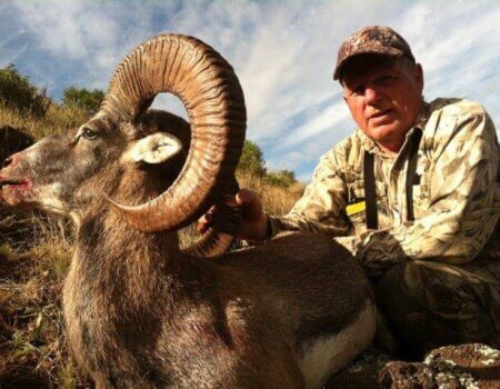 wta_1421_2ED816_photo