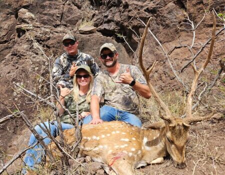 wta_1421_3386049723914387112 (1)