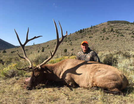 wta_1433_3Q4OCK_DavidPhalen