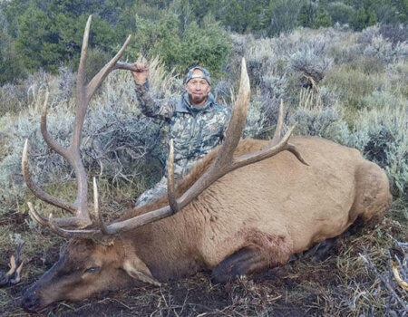 wta_1433_6B6FL3_2016utahelk