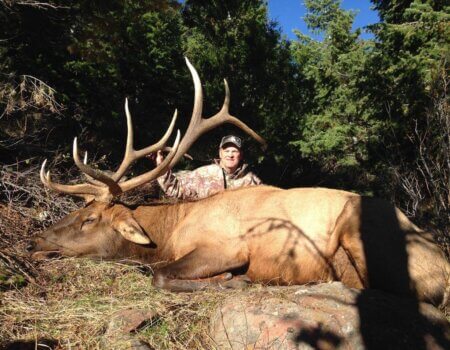 wta_1433_TSU8FA_IMG952099