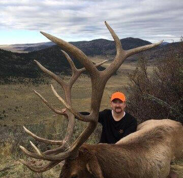 wta_1433_XAZCIK_IMG_7489