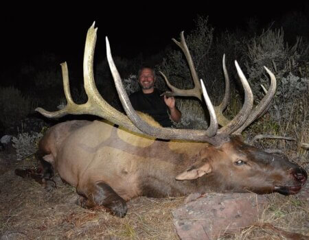 wta_1433_YGLZG1_401bull