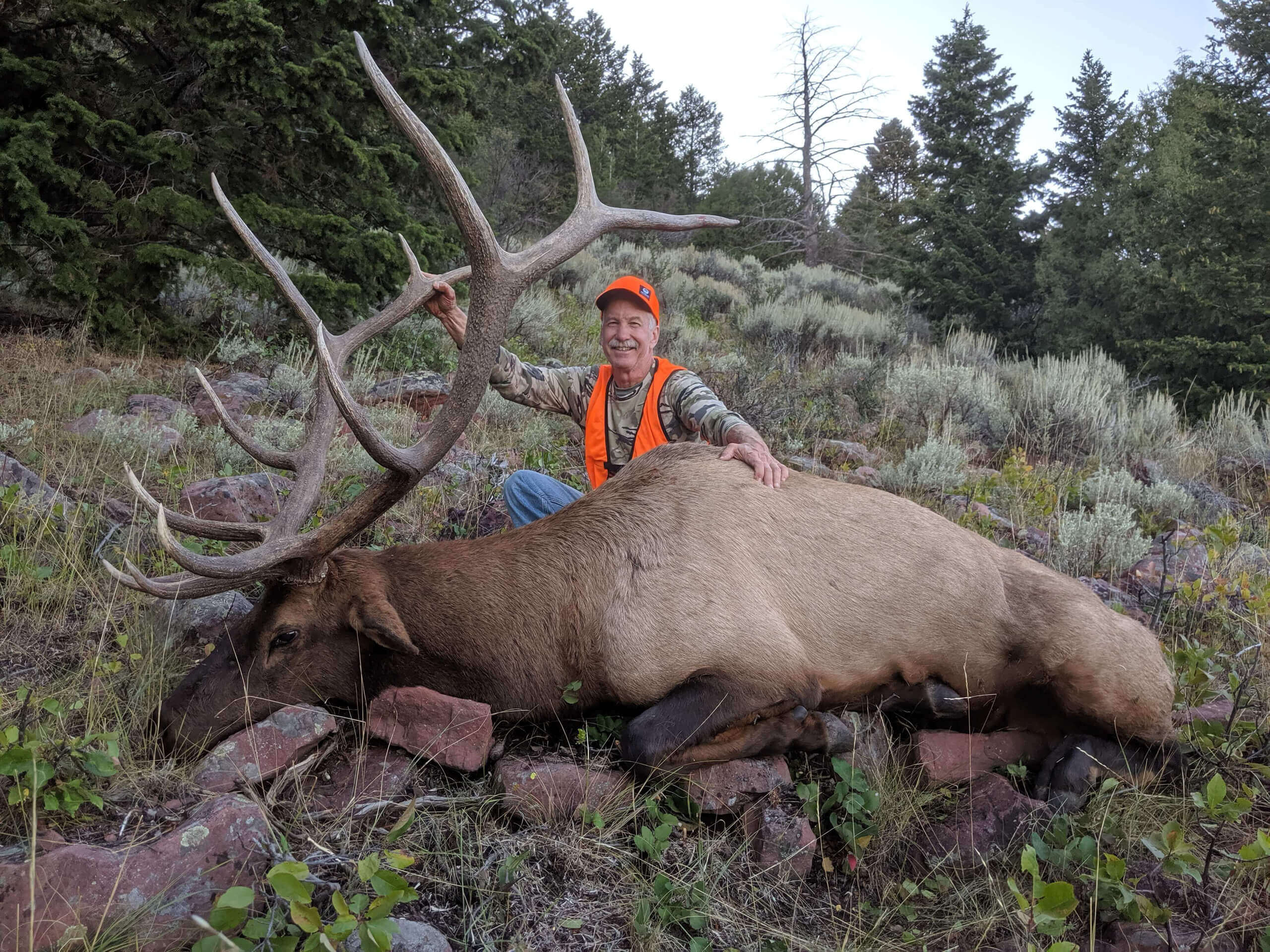 Utah's Premier Trophy Elk Hunt During the September Bugle