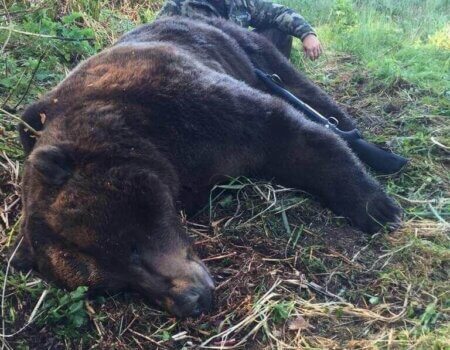 wta_1449_5ESL3T_IMG_2020