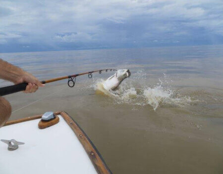 wta_1450_1T2XXO_TrophyTarponBreach