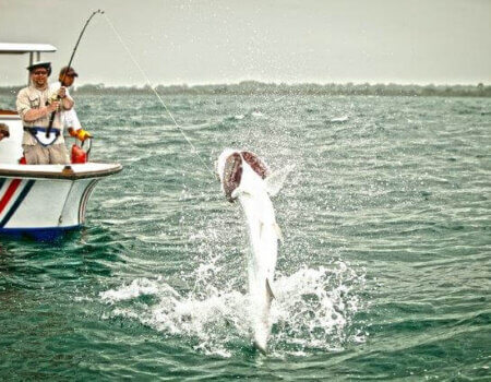 wta_1450__featured_GQUUYE_image(6)