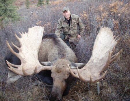 wta_1452_0GTO7H_moose1