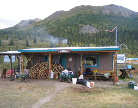 wta_1452_3M390M_079_sheep-128