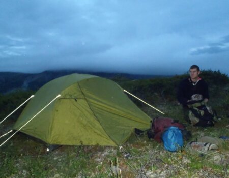 wta_1452_4HMRF9_079_sheep-100