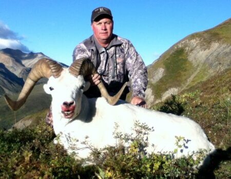 wta_1452_4R374N_079_sheep-42