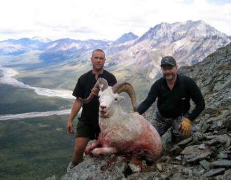 wta_1452_4YHGAQ_079_sheep-68