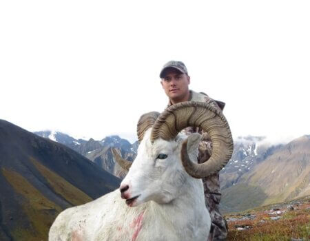 wta_1452_NPG90B_079_sheep-11