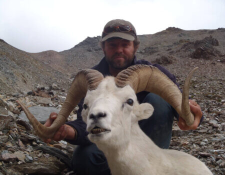 wta_1452_O2UGUA_079_sheep-108