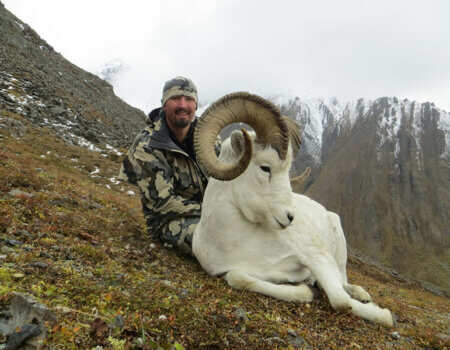 wta_1452_P9QCBP_079_sheep-12