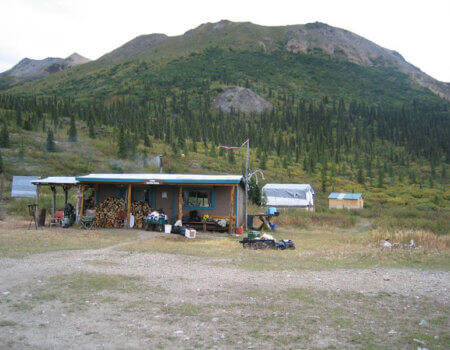 wta_1452_X5YL27_079_sheep-130