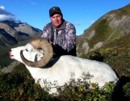 wta_1452__featured_LH07BM_079_sheep-40