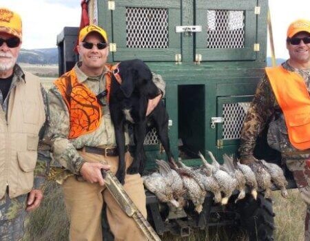 wta_1453_NVEQQZ_HalEaton