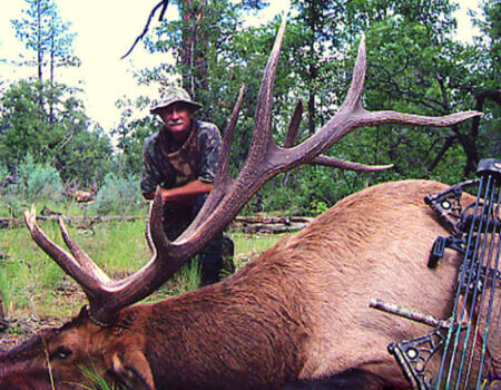 wta_1454_077BPY_146_NMelk-40