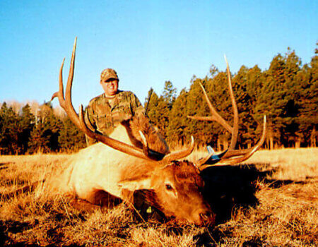 wta_1454_4BPDKG_146_NMelk-41