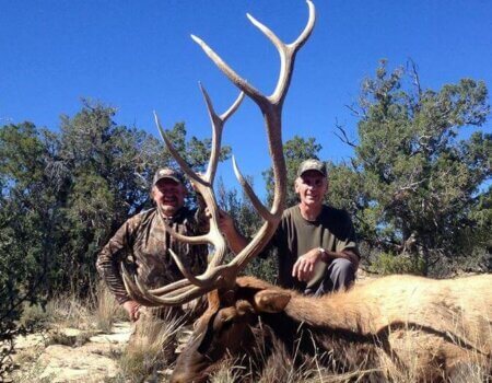 wta_1454_5T3VVW_146_nmelk-1