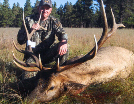 wta_1454_6NWG8Y_146_NMelk-19