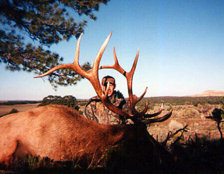 wta_1454_L2U7NA_146_NMelk-42