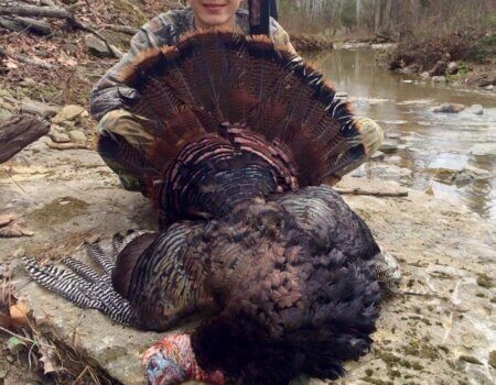 wta_1461_LINGNK_10394488_817764361610052_7154656454437502278_n