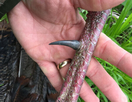 wta_1461_RX0JG5_IMG_2540