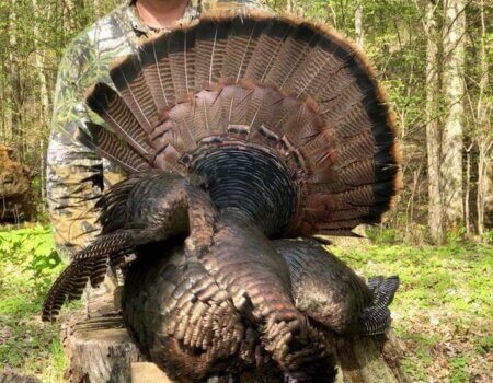 wta_1461_WillParks-KY1