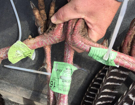 wta_1461_XFHGMD_IMG_2555