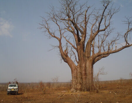 wta_1463_IRIFGZ_Matetsi2006077v1