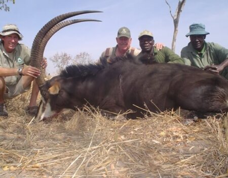 wta_1463_R5ZVFE_MatetsiBulls07019v1