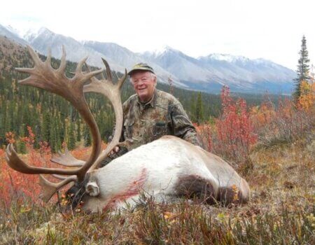 wta_1476_E8W0I0_caribou2