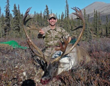 wta_1476_KANCXV_caribou4